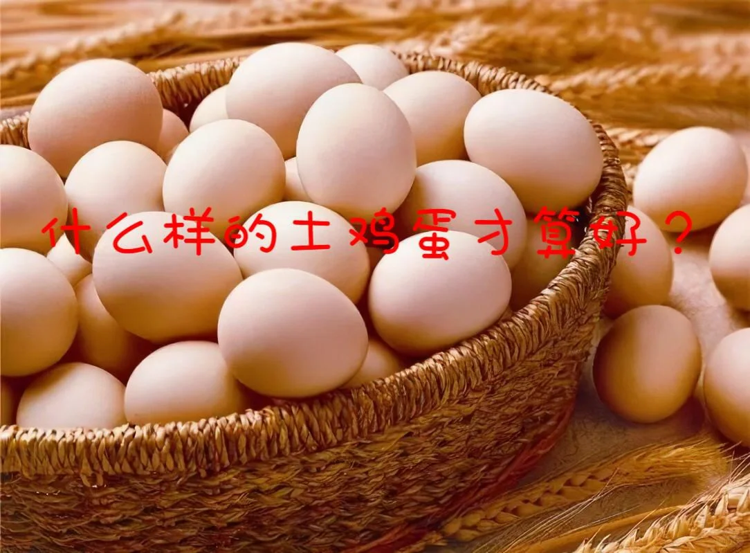 ȾȺӰ??????