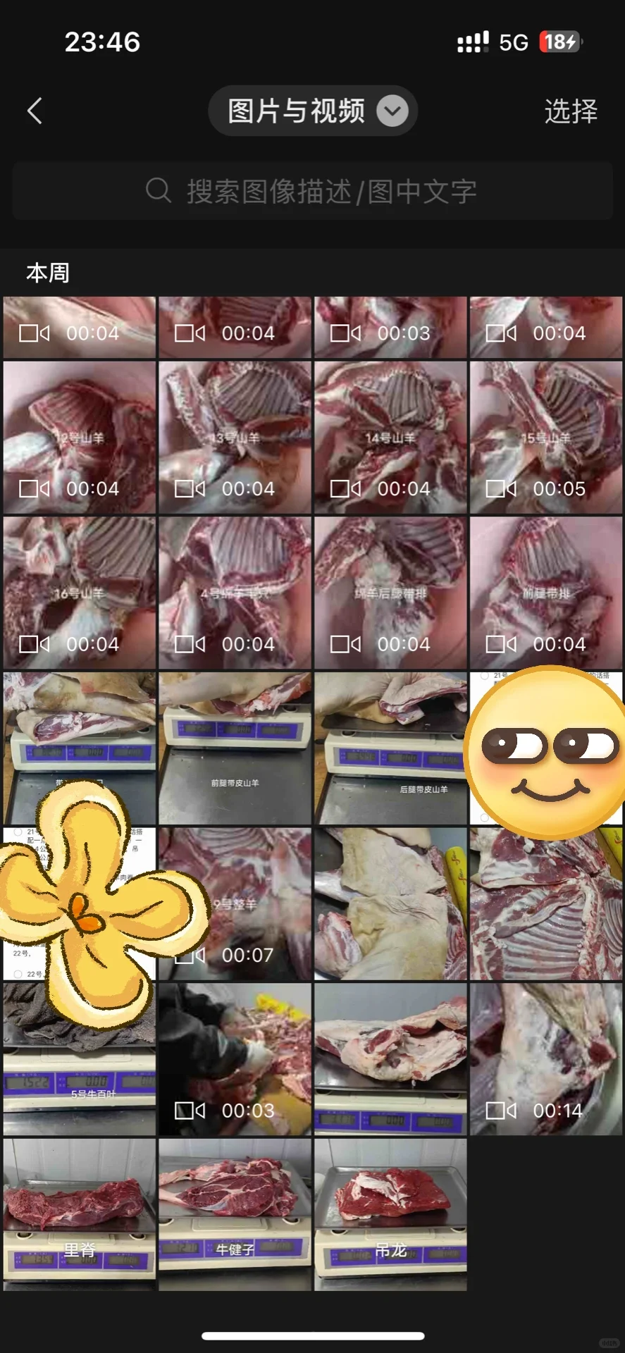 Ȧıи???