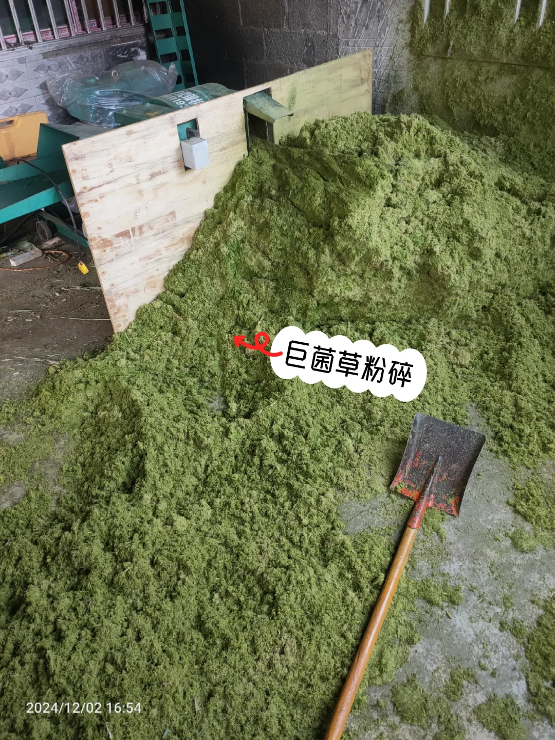 妈妈喂一年半还没三斤的土鸡，30一斤贵么！