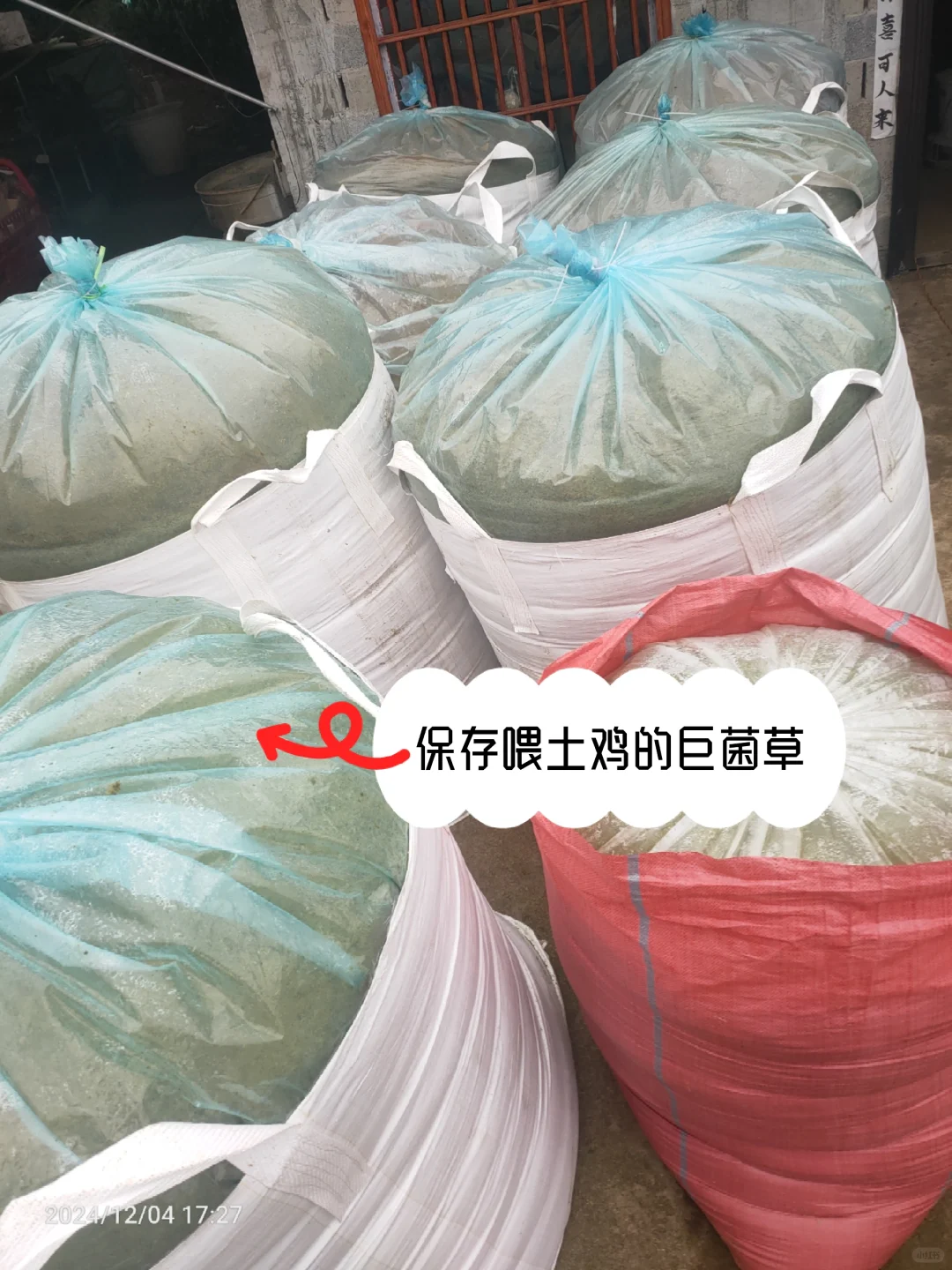 妈妈喂一年半还没三斤的土鸡，30一斤贵么！