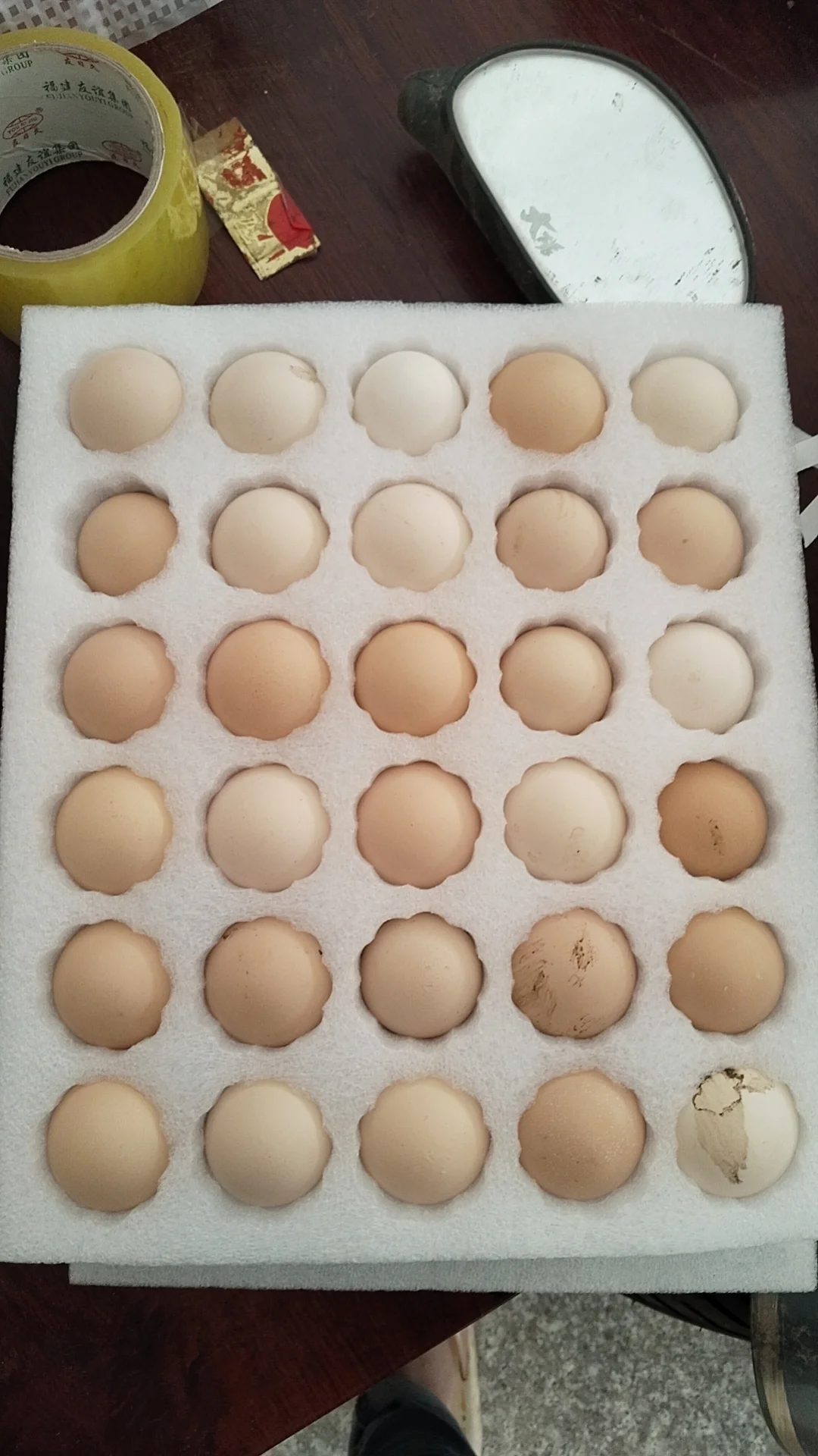 你们买的土鸡蛋多少钱一个