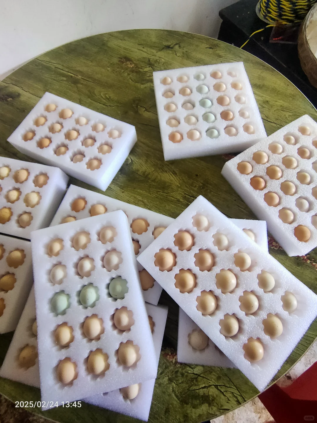 妈妈喂一年半还没三斤的土鸡，30一斤贵么！