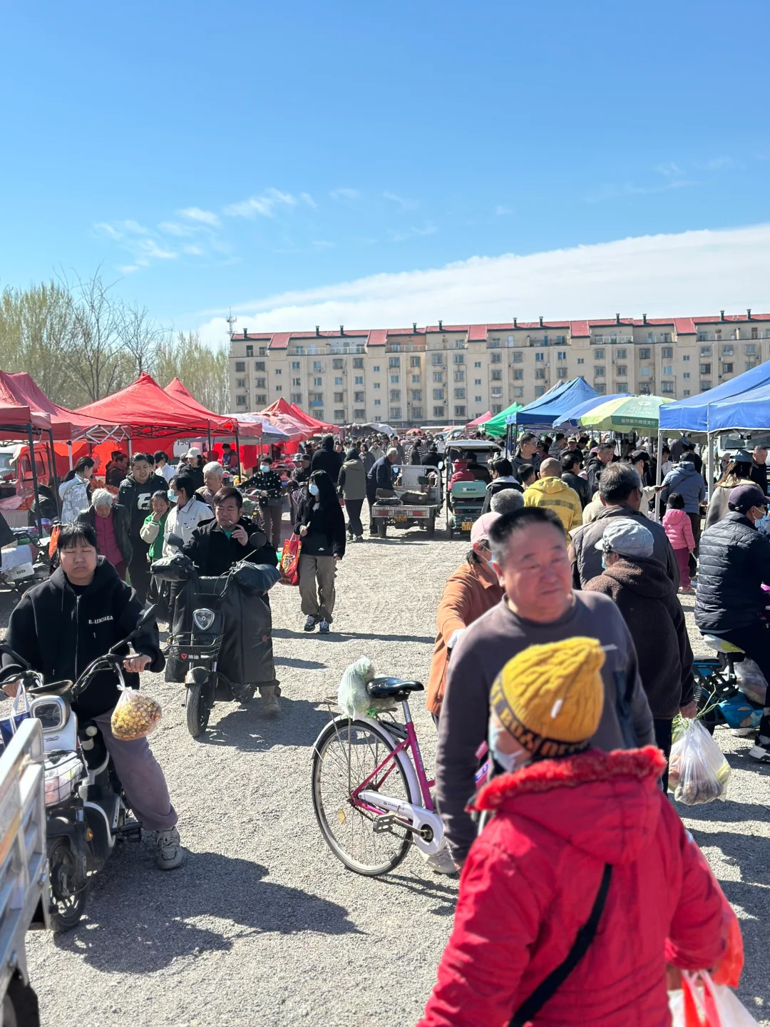 北京买小鸡?地点合集，收藏不迷路??