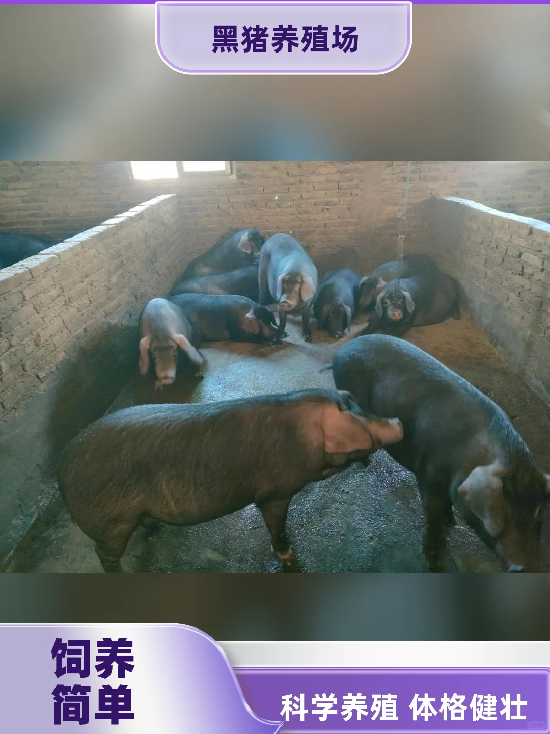 30-40ڼ۸