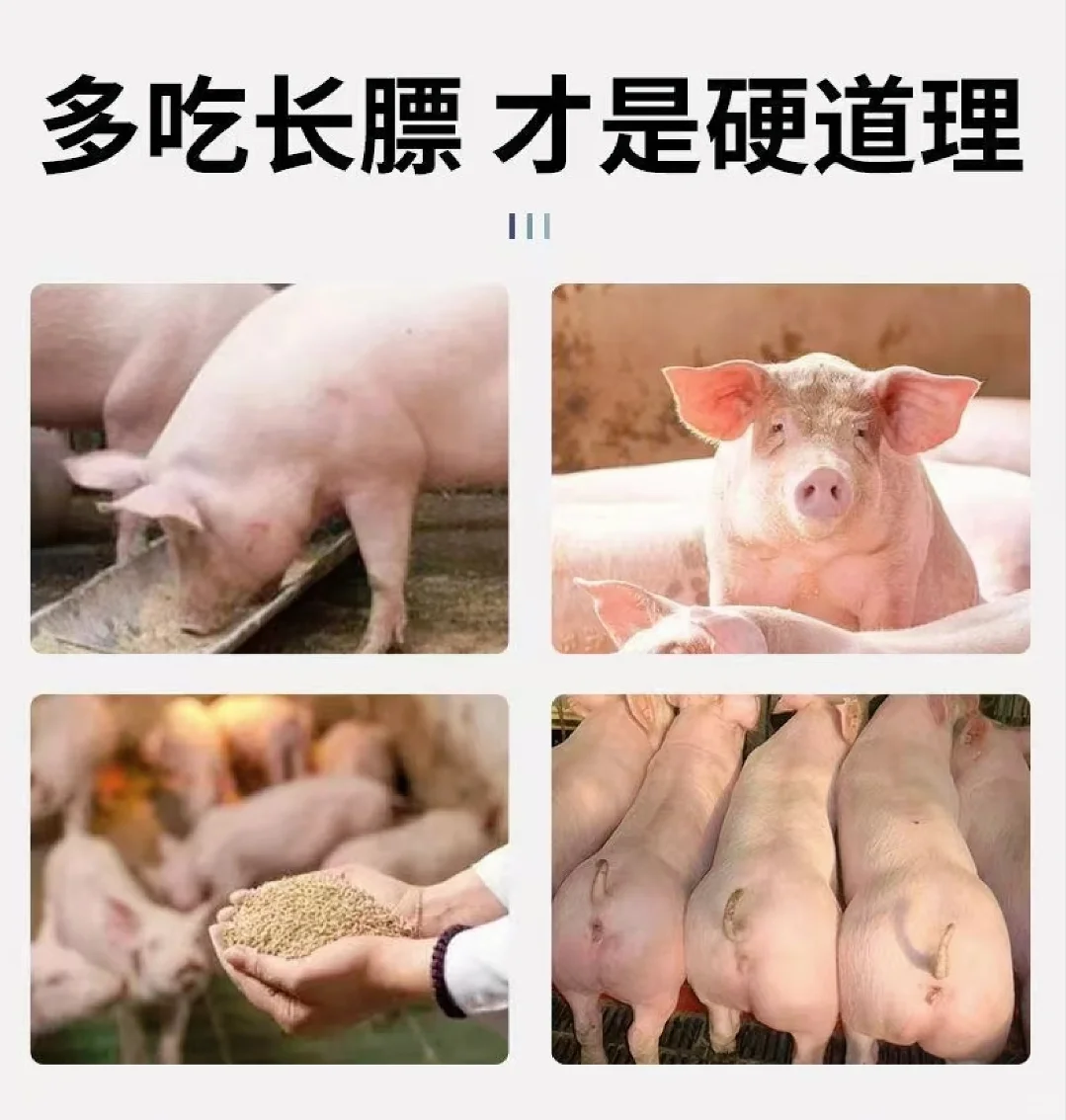 ۱2??нϡʡ