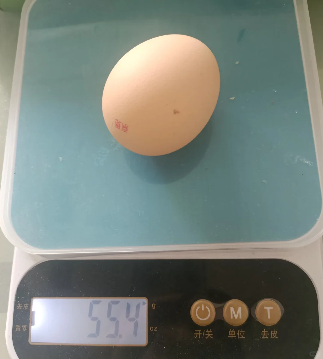 49ļ