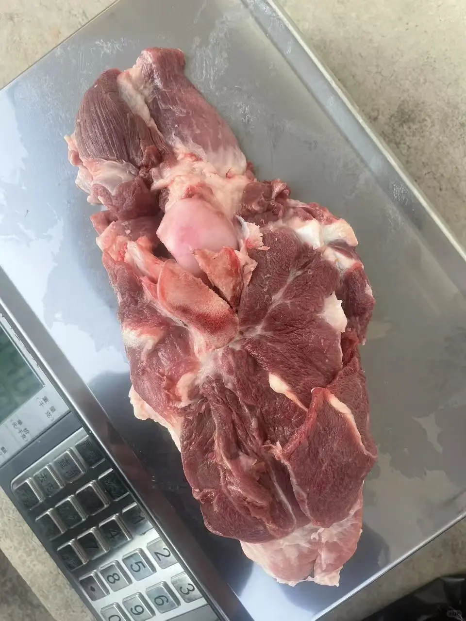 Ϲ35һĺë