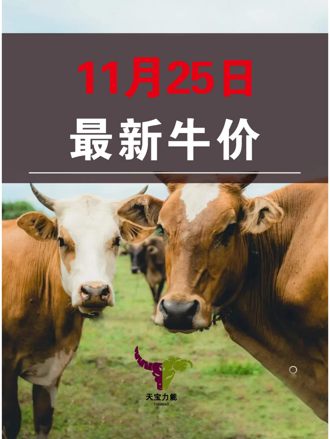 ?ţ˱ؿ 11  25 ţۣ