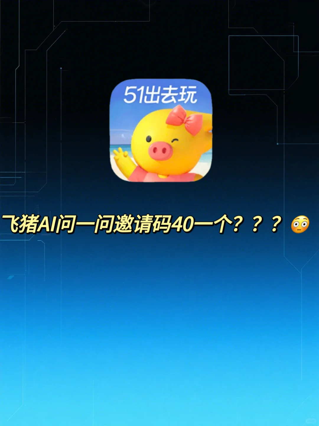 飞猪？？？