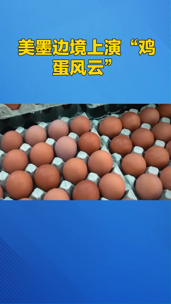 ˽