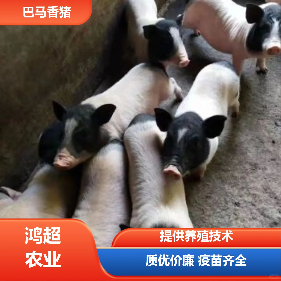 ڰ۸