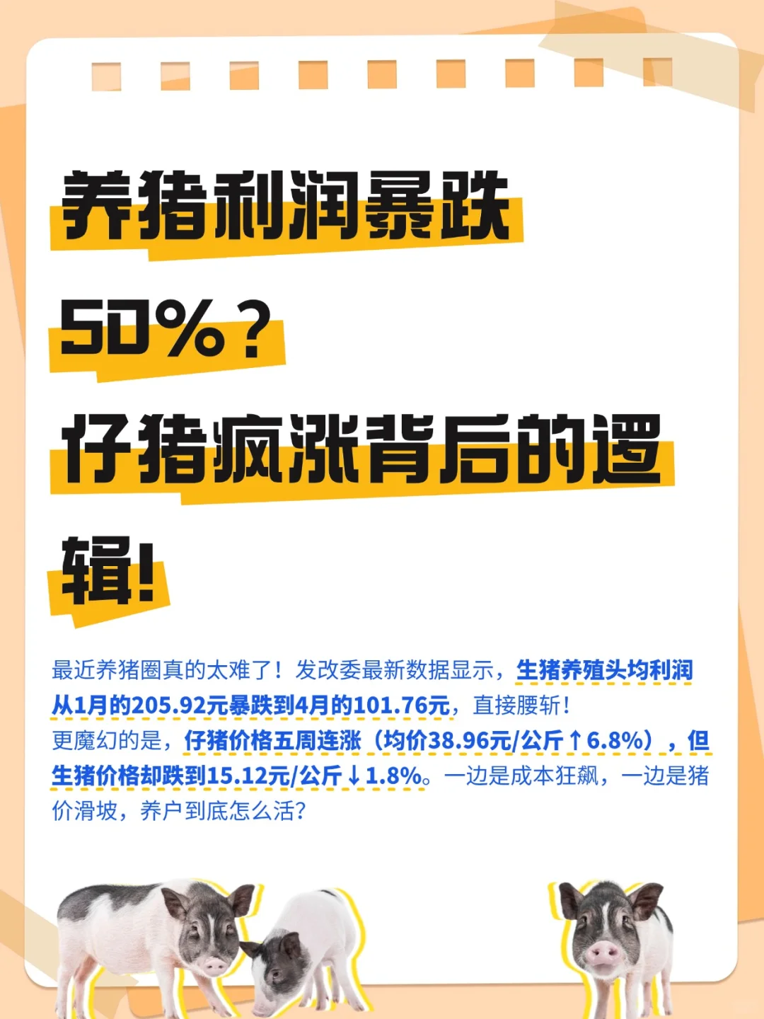 养猪利润暴跌50%？仔猪价疯涨背后的逻辑！