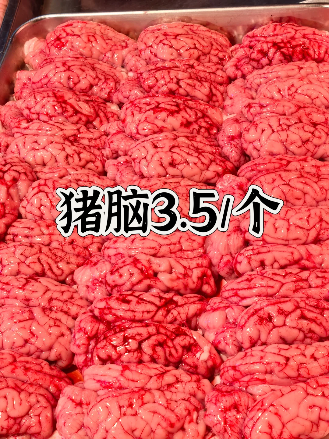 ̨ݽ Ʒ