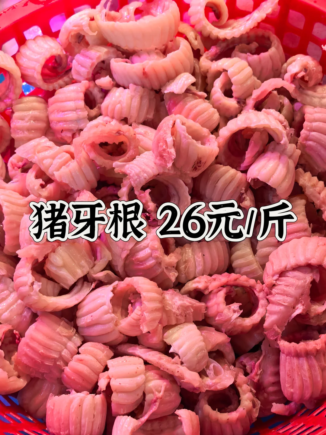 ̨ݽ Ʒ