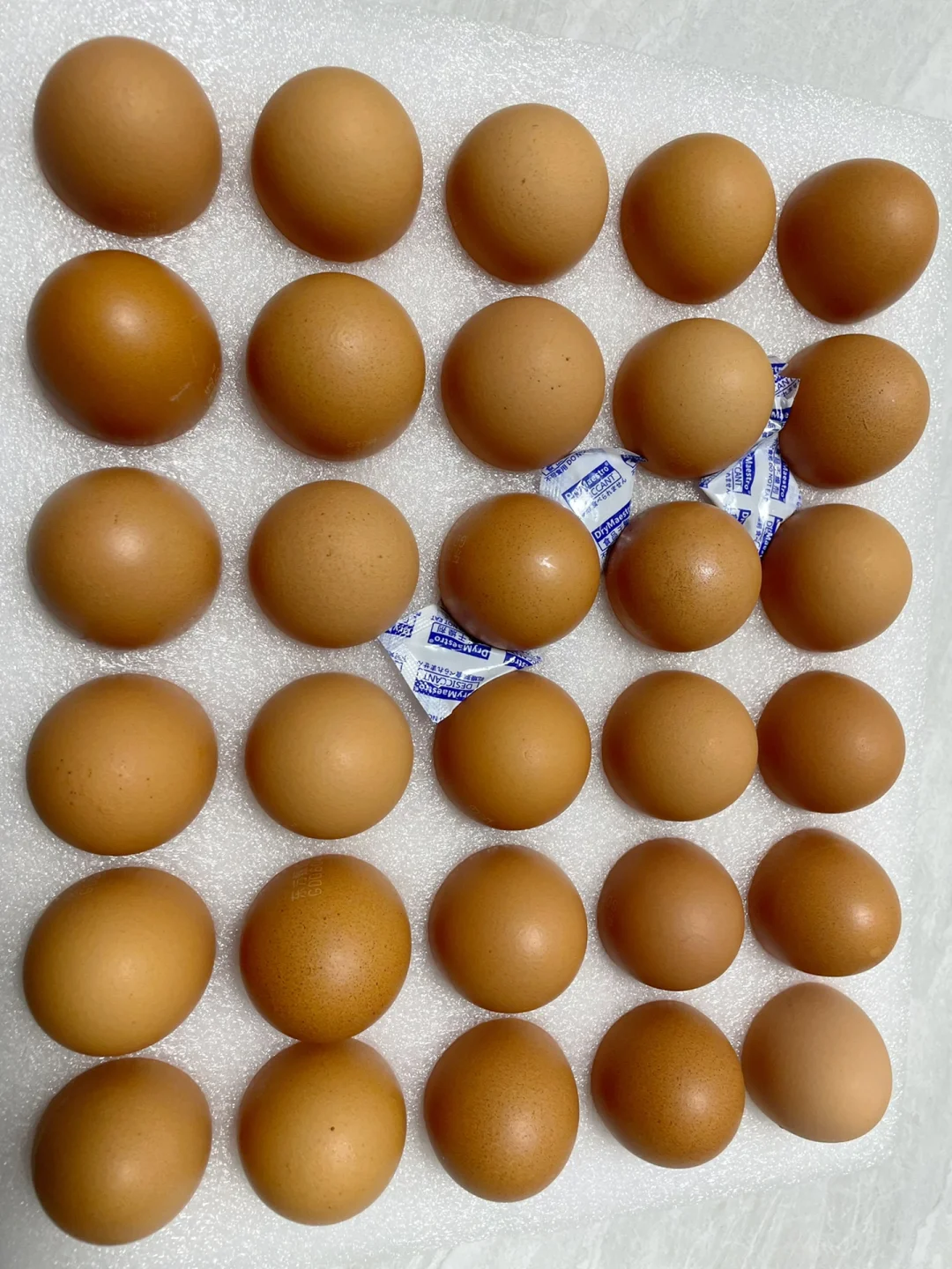 Ӫ뼦