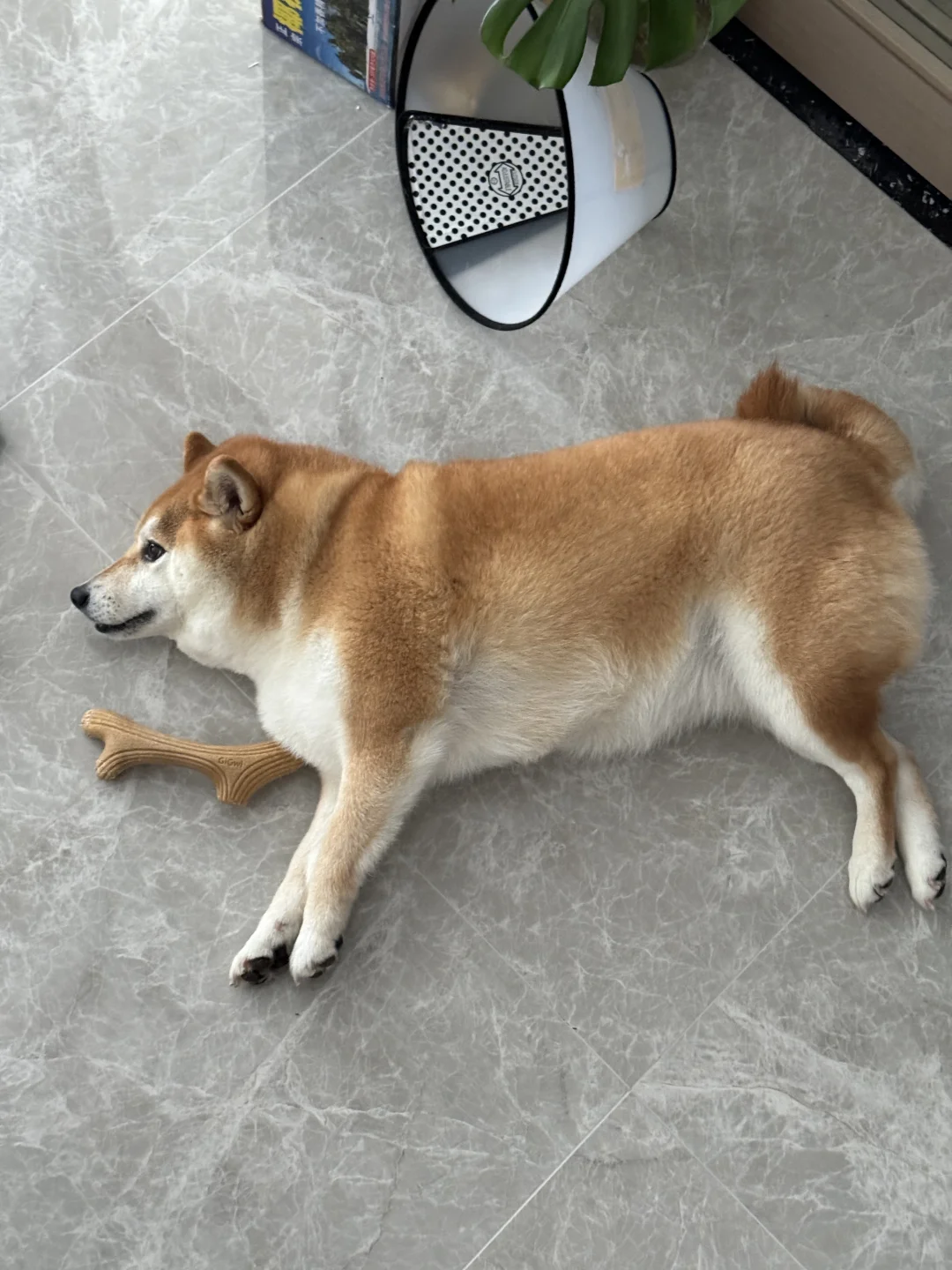 �������۶��ٰimg.bim99.cnyle=