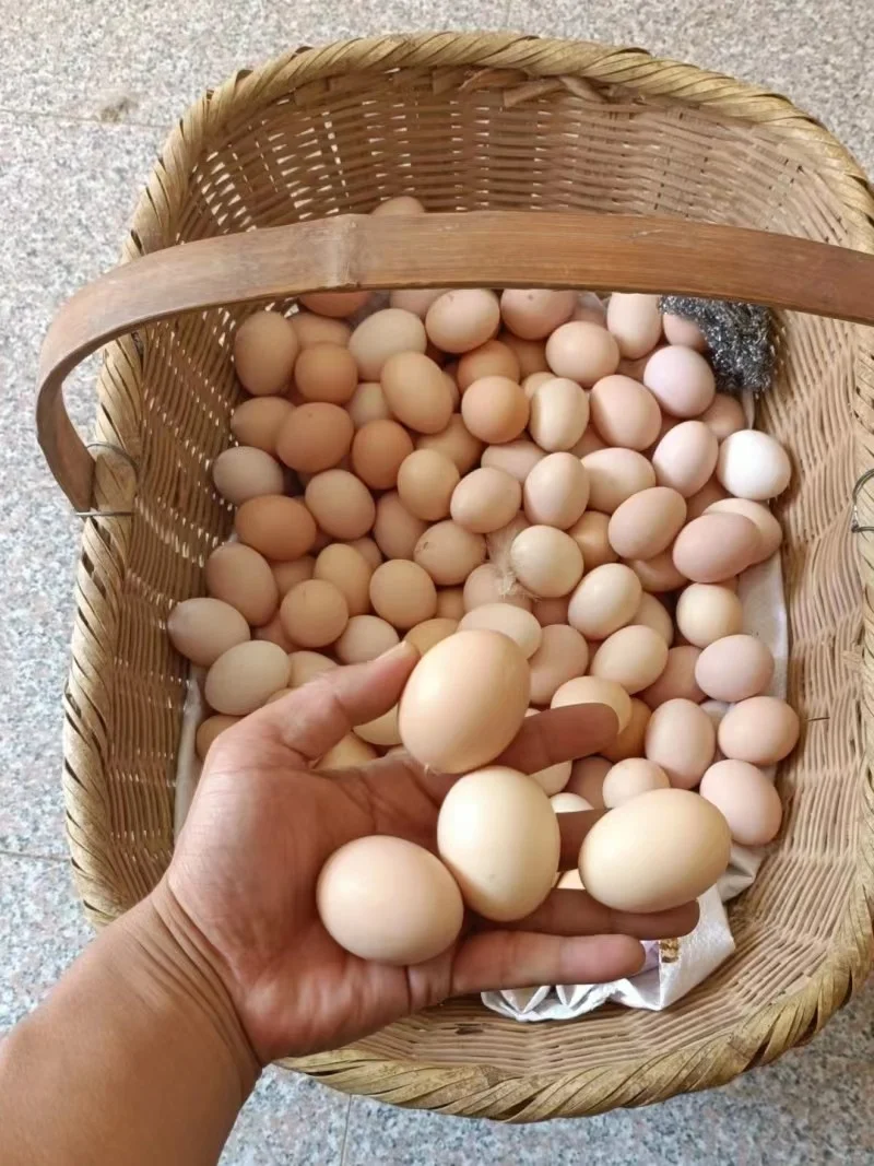 40öʵ?
