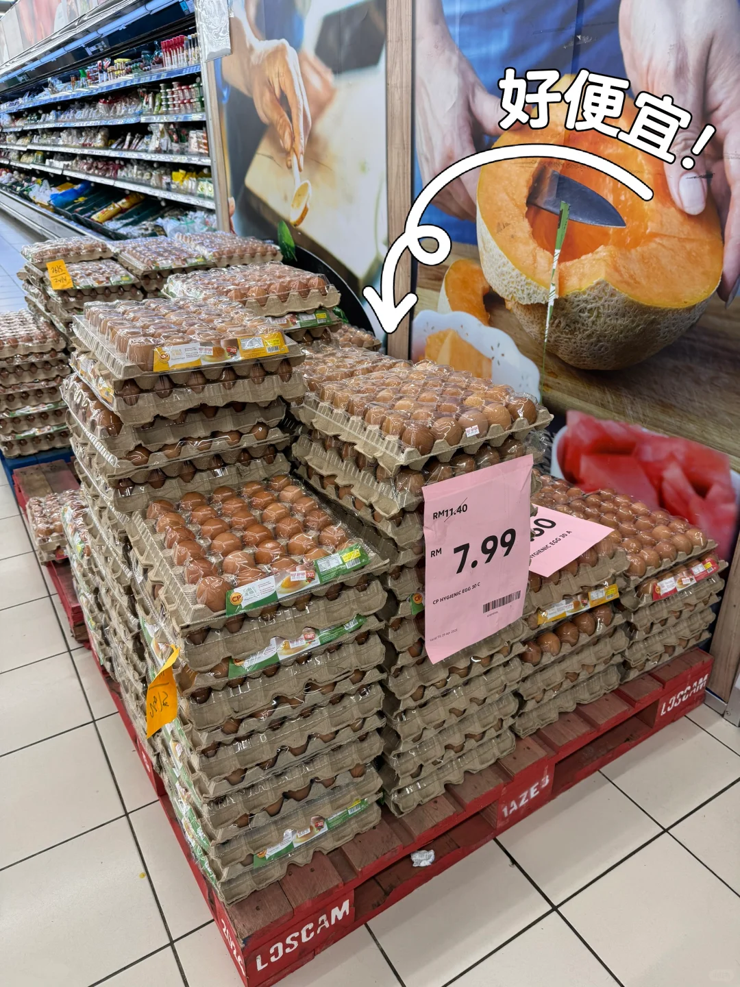 Lotus ñ??
