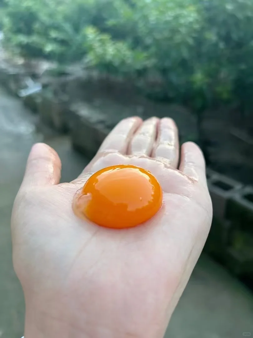 1һǮ?