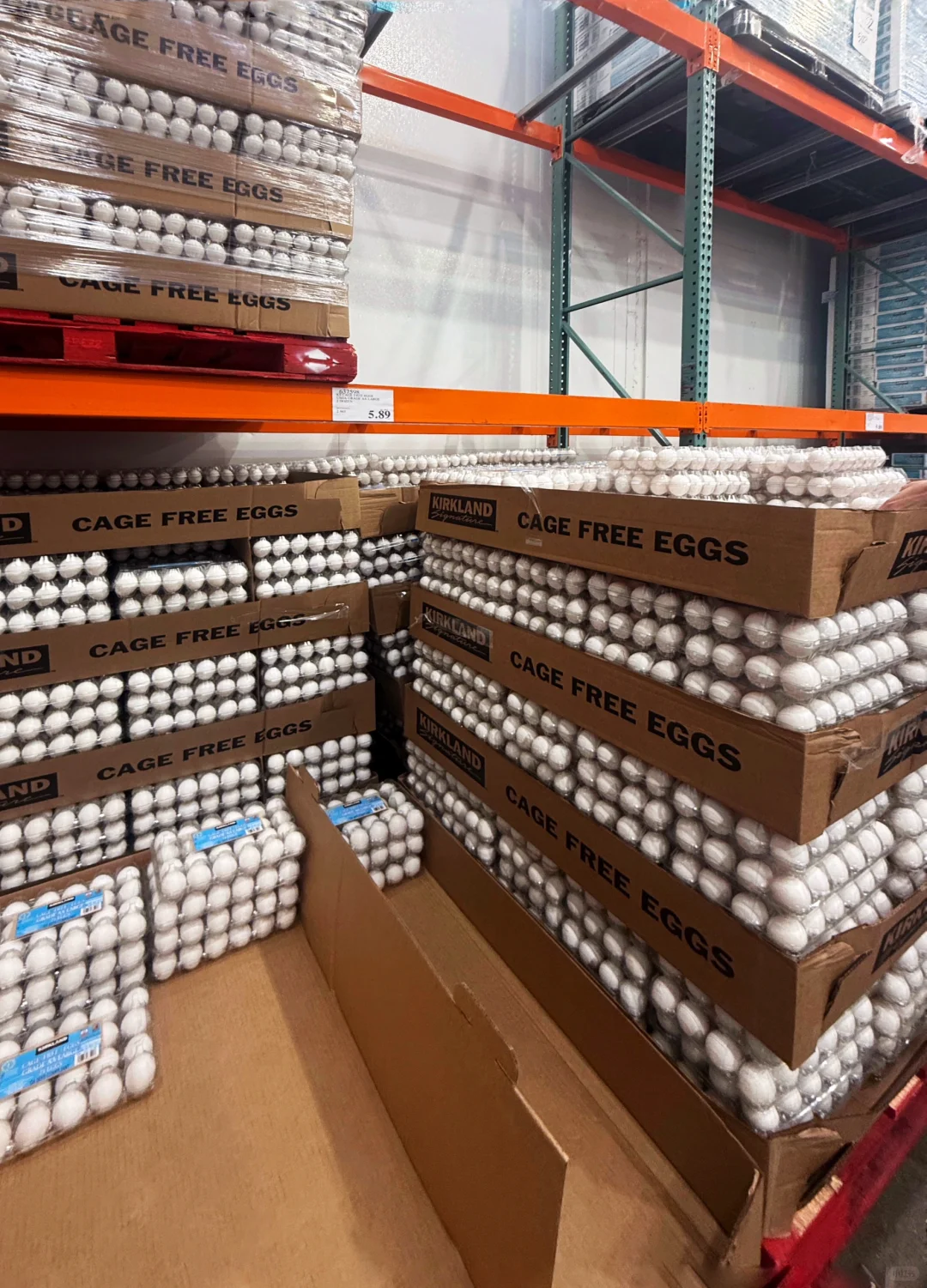 Costco۸