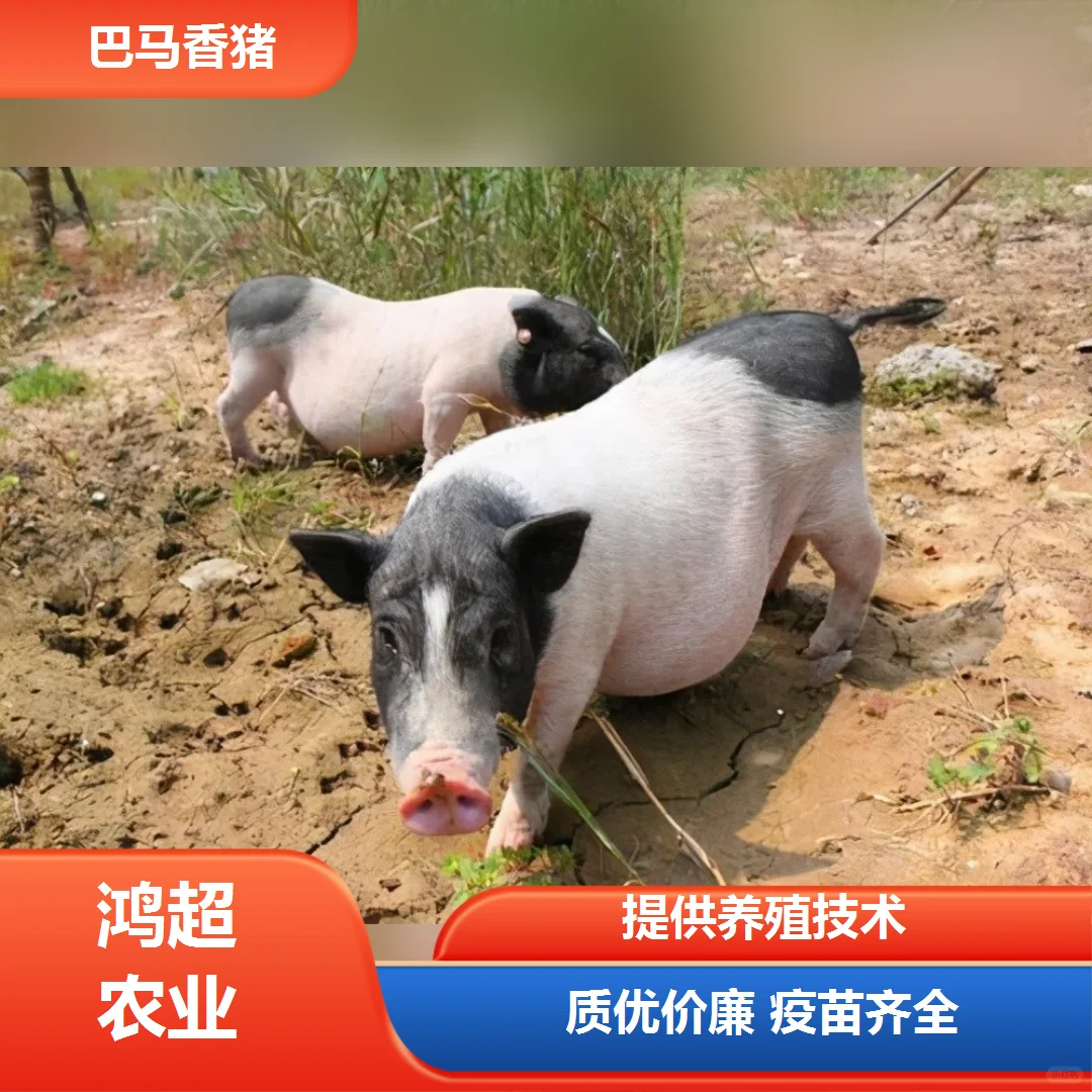 СǮһѯ