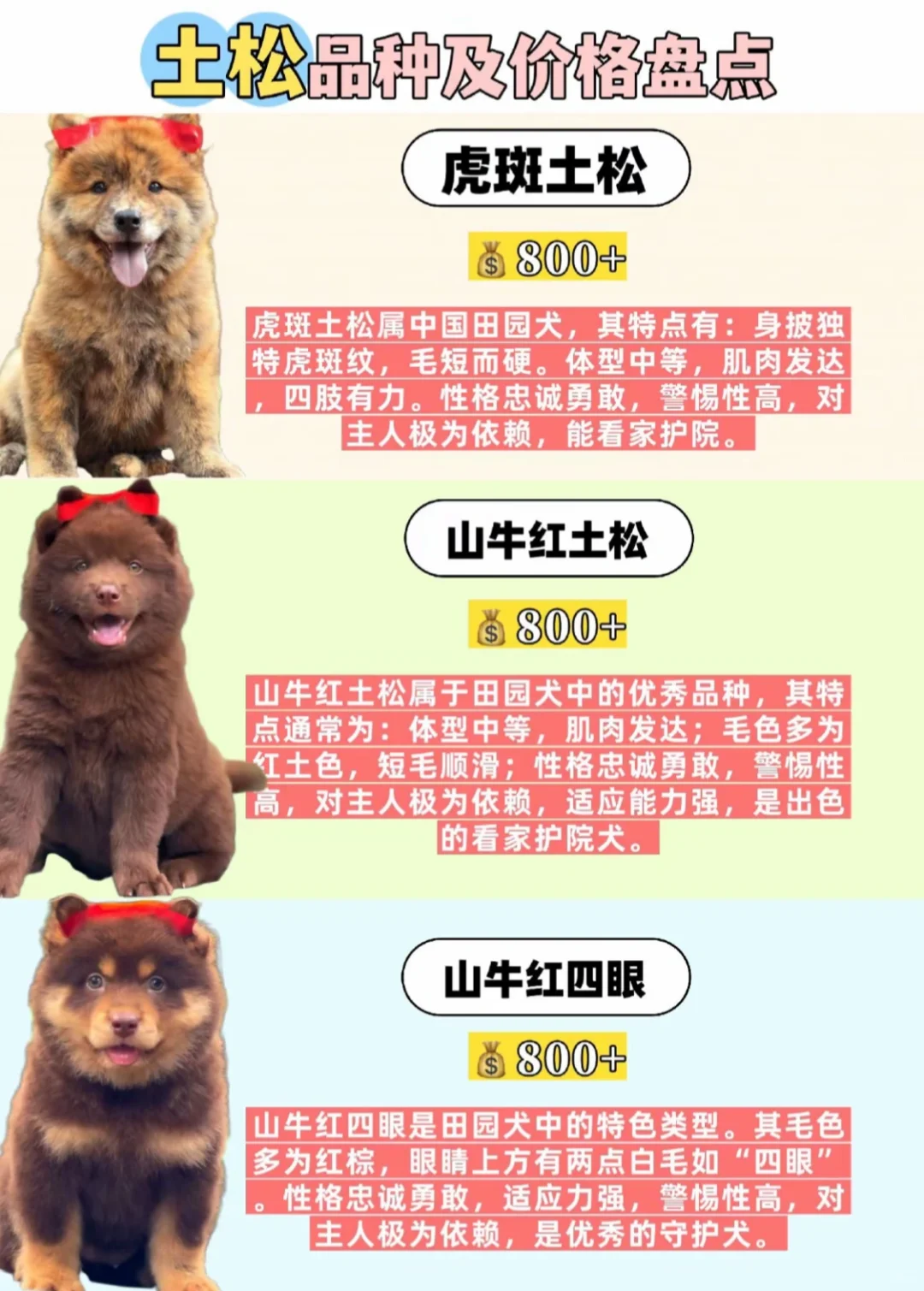 2025Ʒּ۸̵