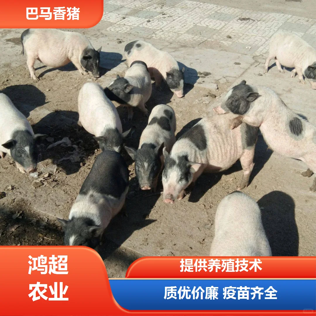СǮһѯ