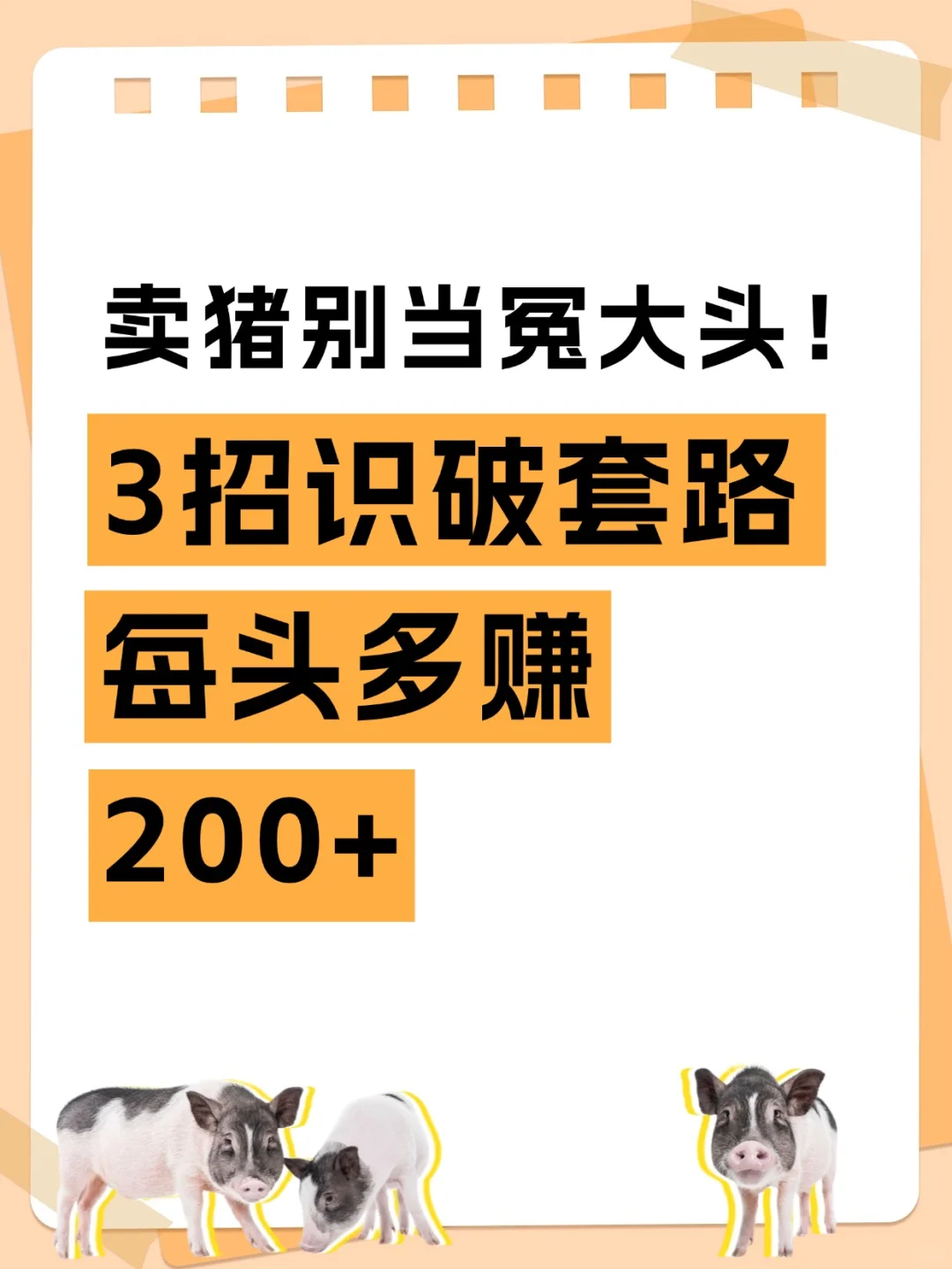 三招教你卖猪不当冤大头！
