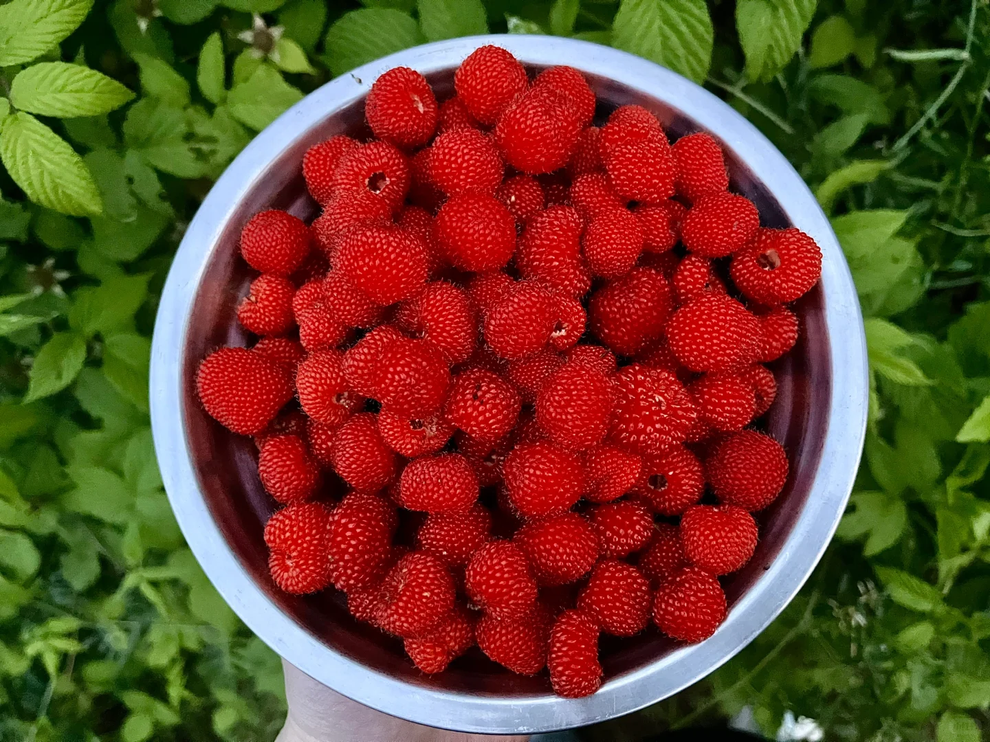 ϲΪˮ