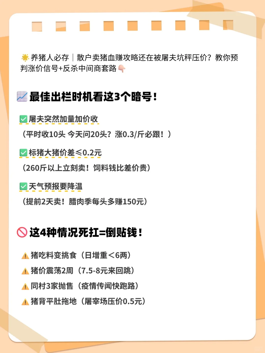 三招教你卖猪不当冤大头！