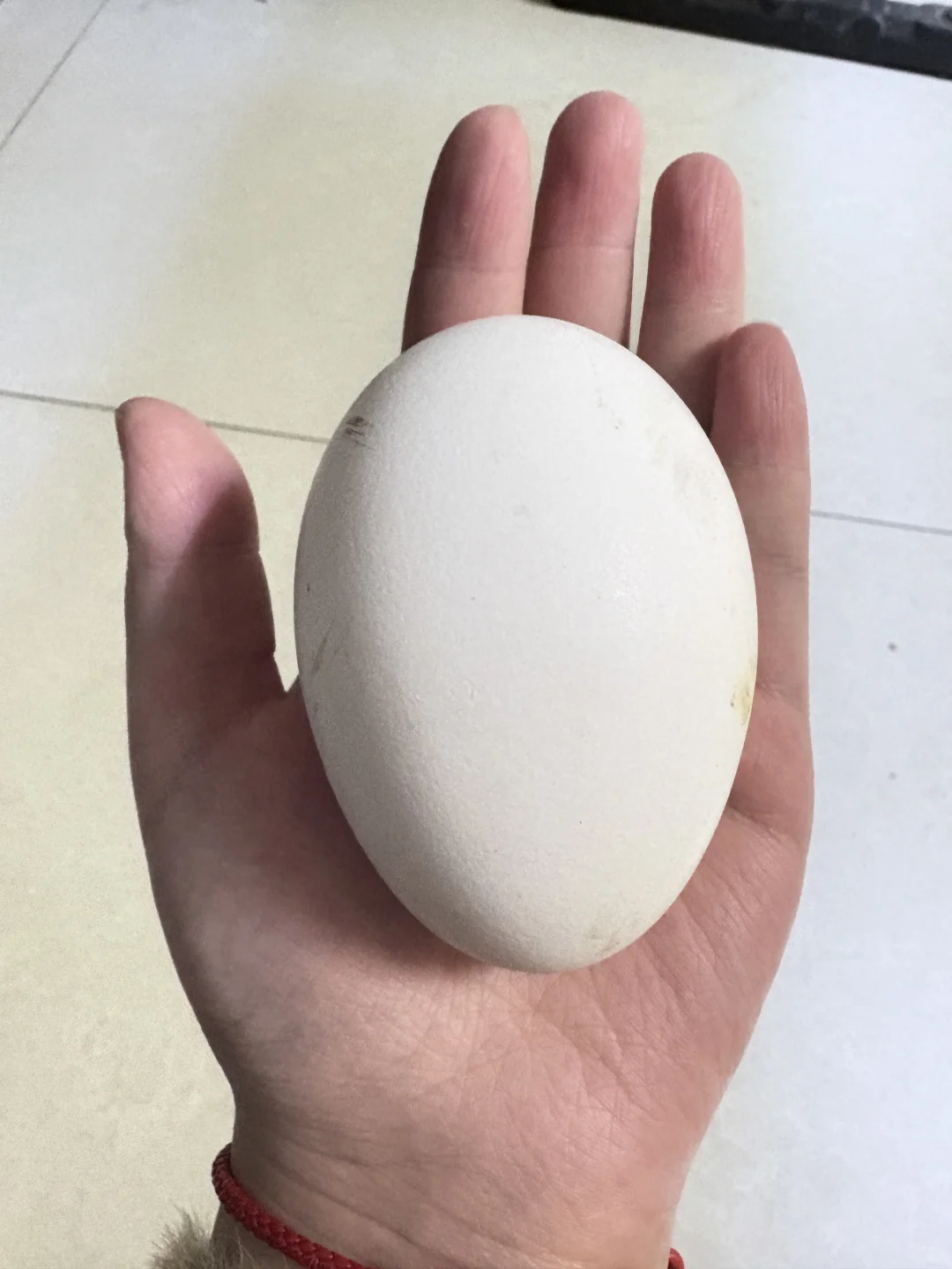 û쵰