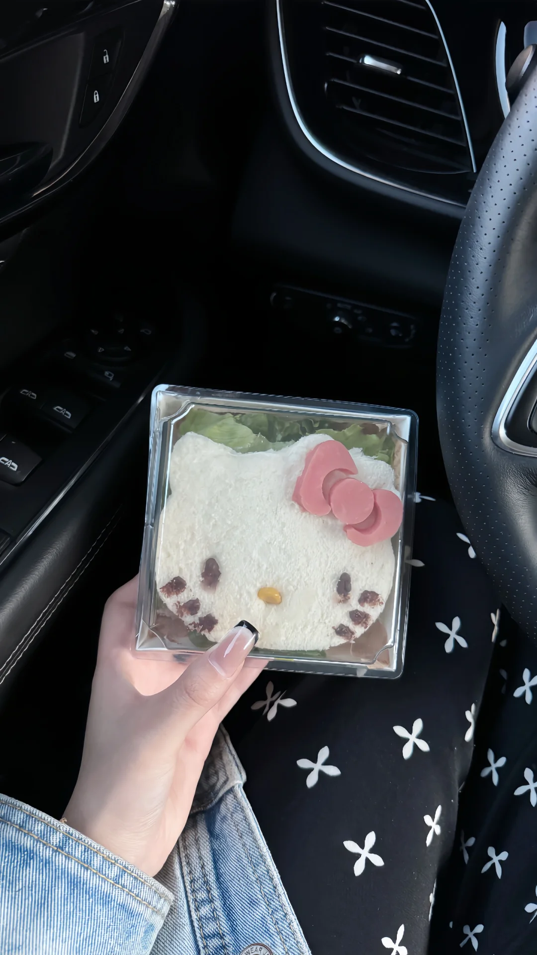 ƽ12ǮһkittyΣ