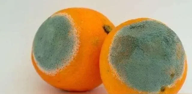 ?㣬Կ?