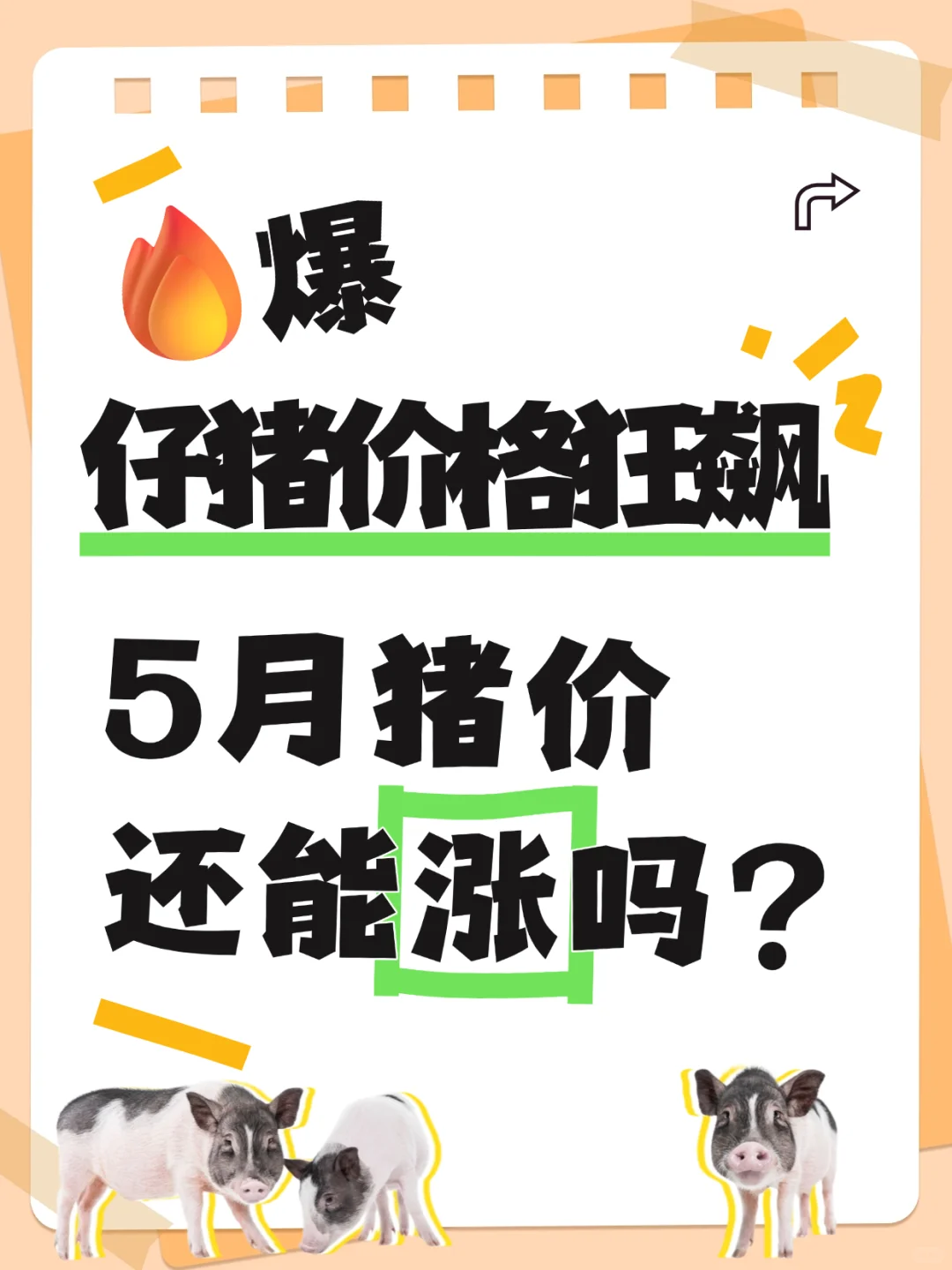 5Ƿǣ