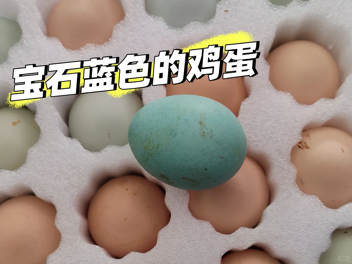 Ǽʯɫļ