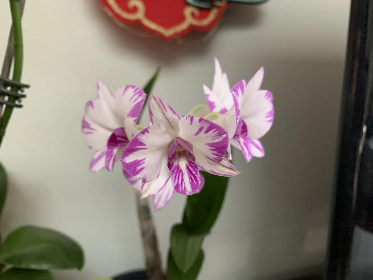 3ë