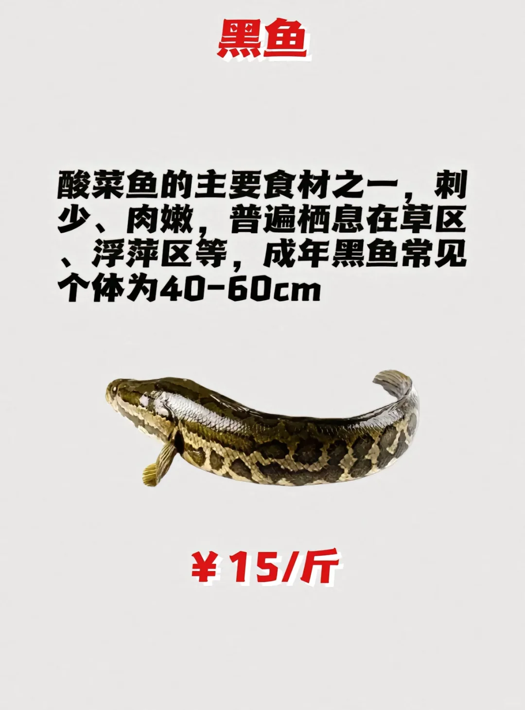 ·ּ۸гýۣ