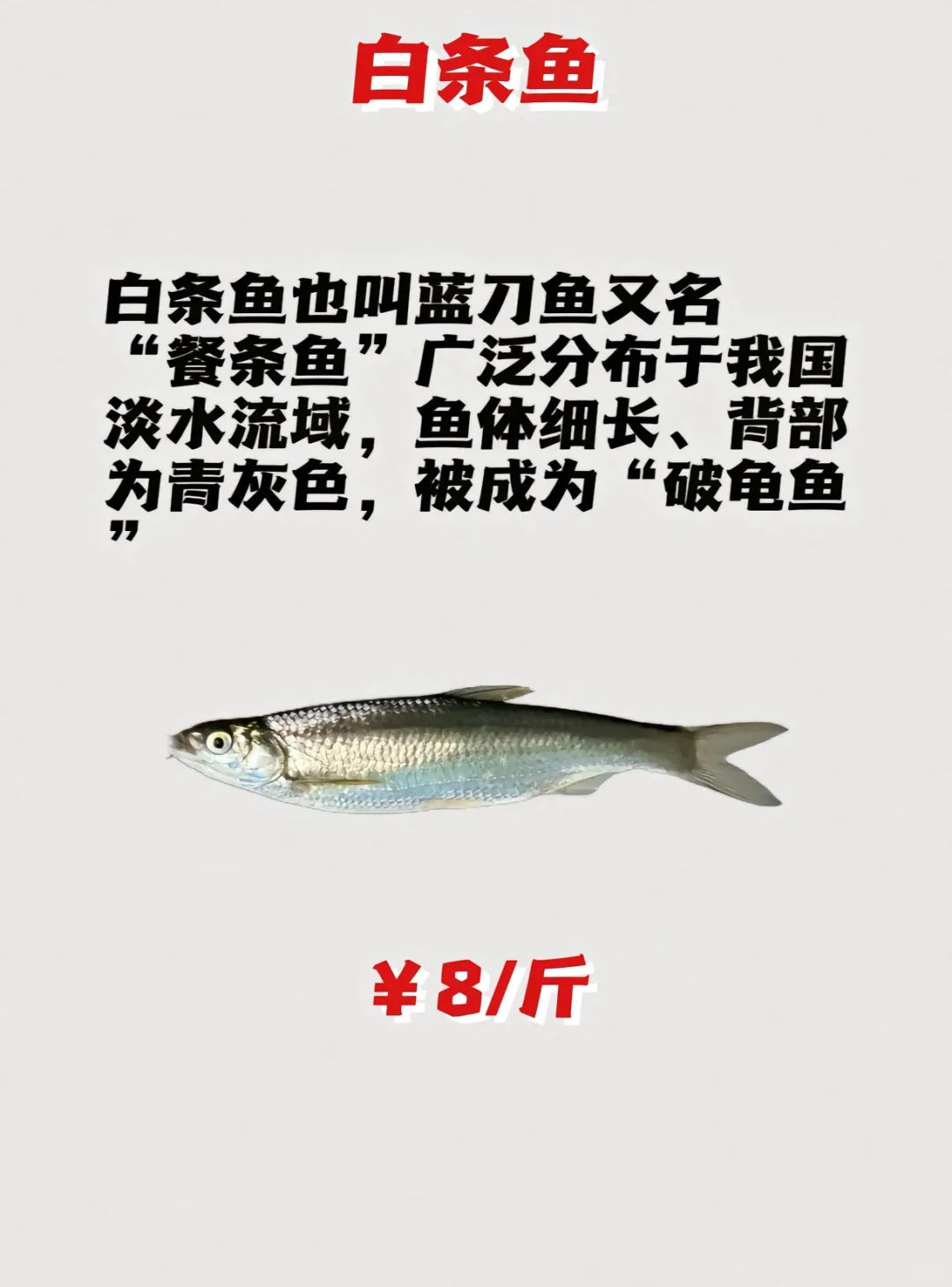 ·ּ۸гýۣ