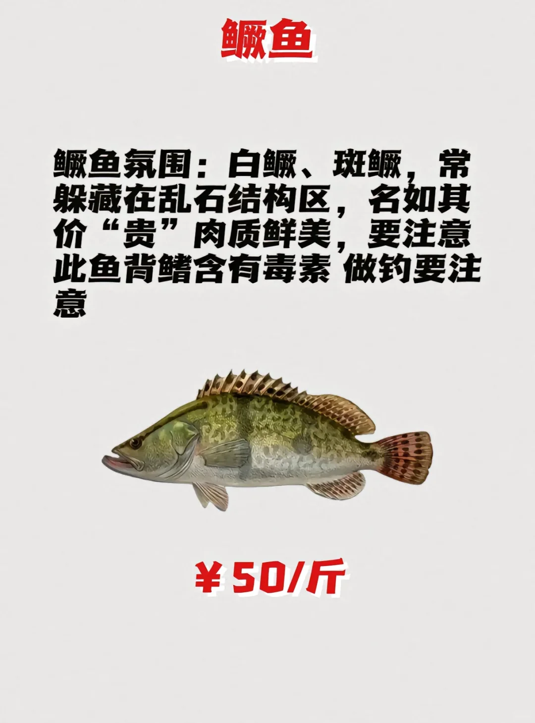 ·ּ۸гýۣ