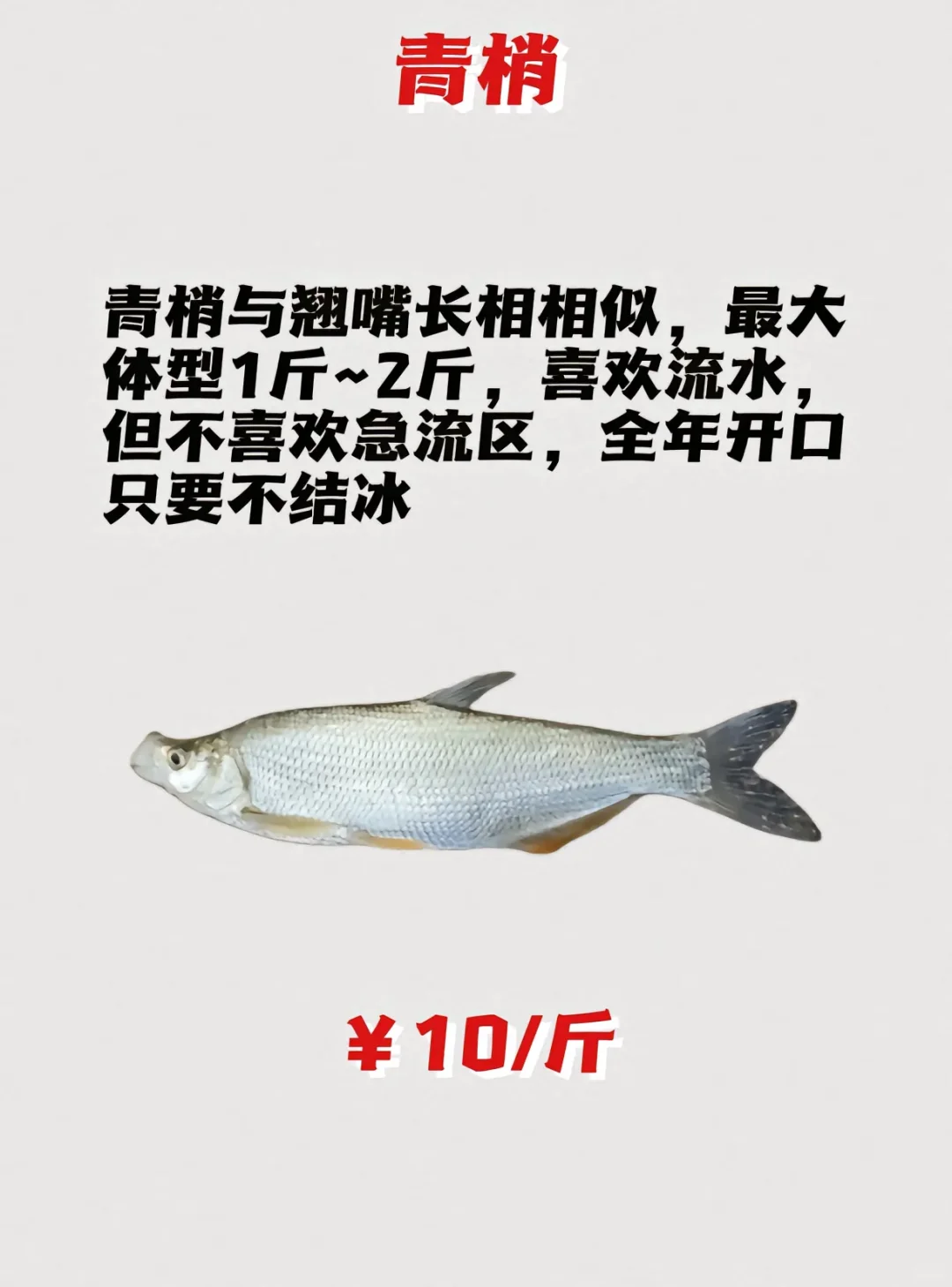 ·ּ۸гýۣ