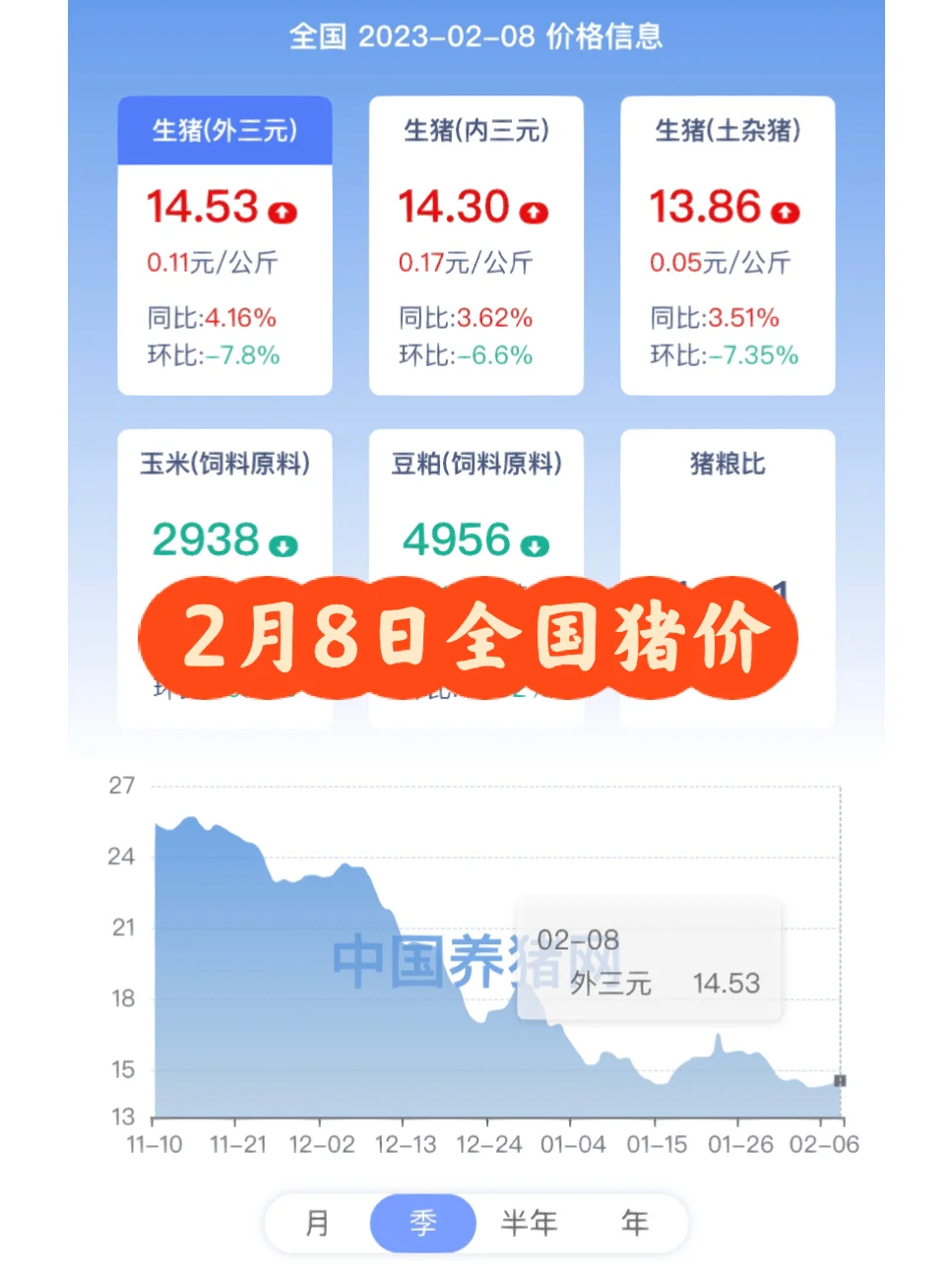 2月8日全国猪价
