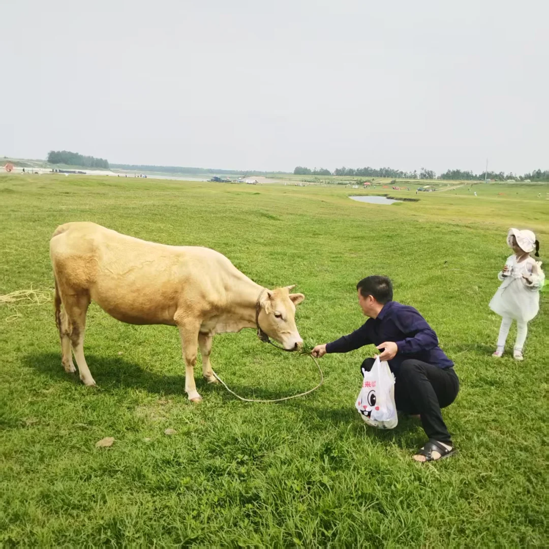 给孩子养一只什么宠物好?