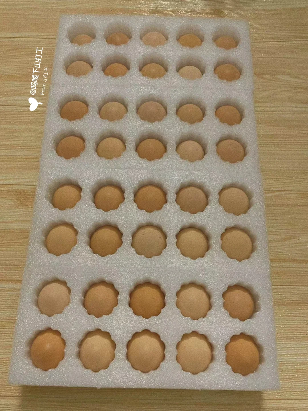 ֮ڼ