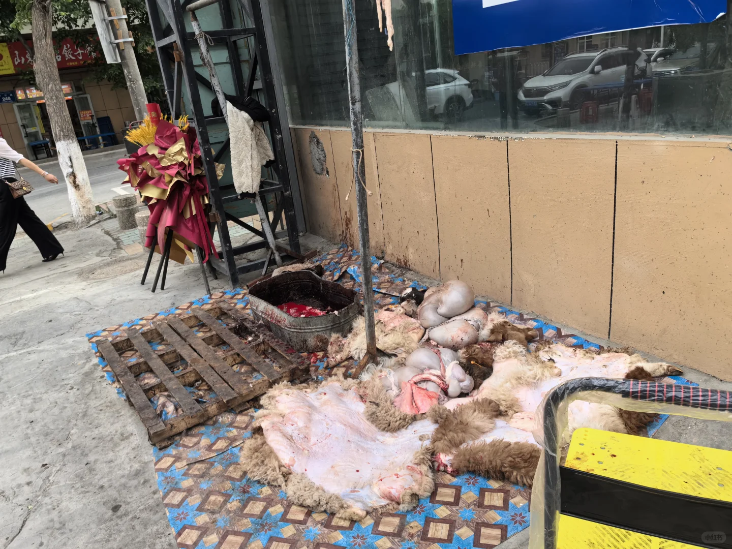 发现一个宝藏烤肉店｜羊娃子真可怜｜嗝～