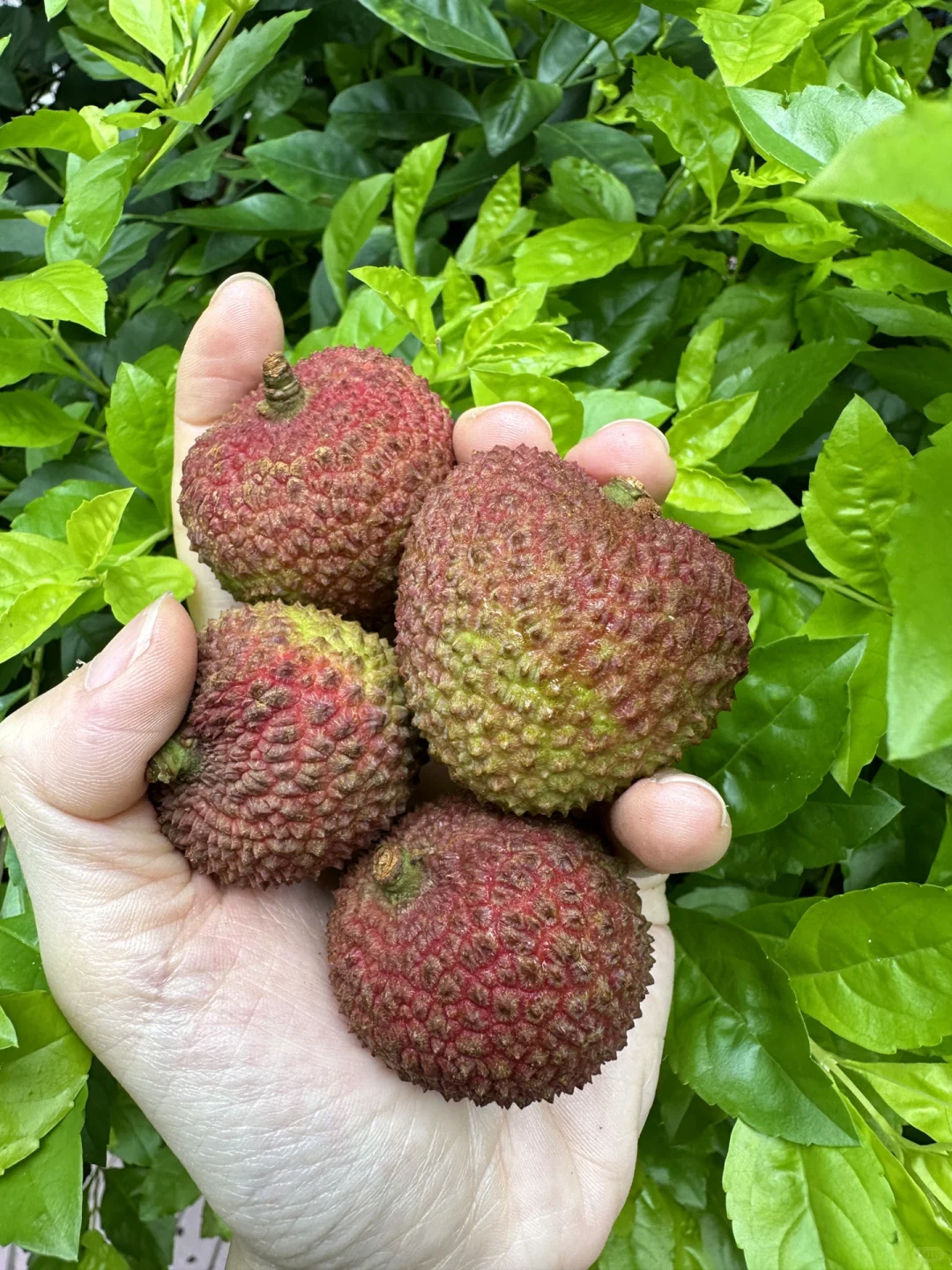 能卖出这个价格的真是个人才