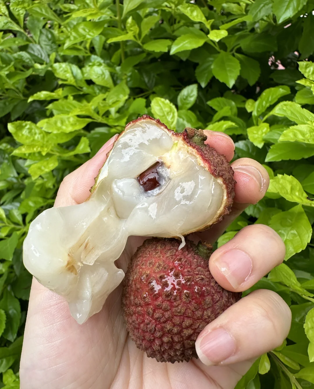 能卖出这个价格的真是个人才