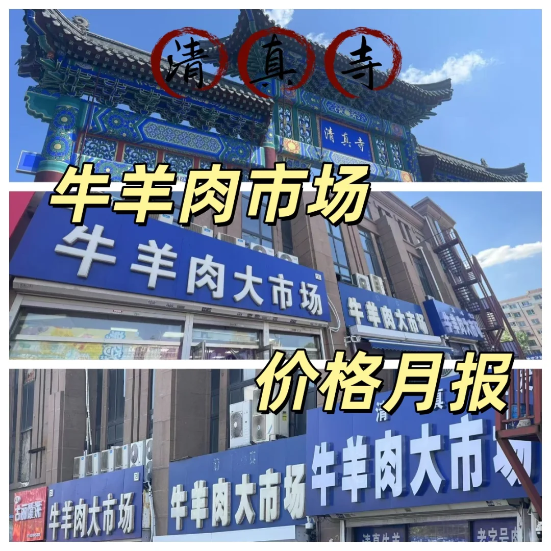 ţ۸±