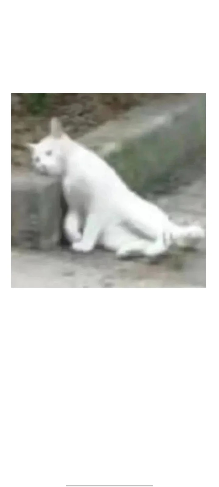 ҷĹ׷Ĺ