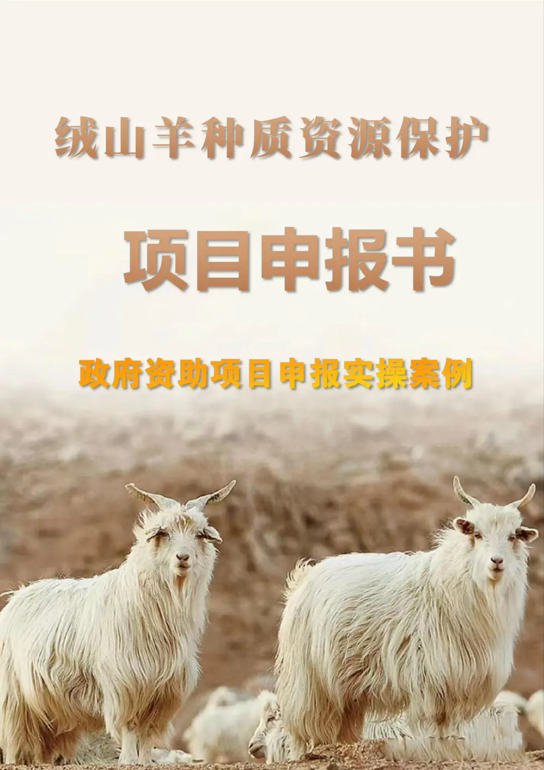 ֳĿ걨ץ6㣬!