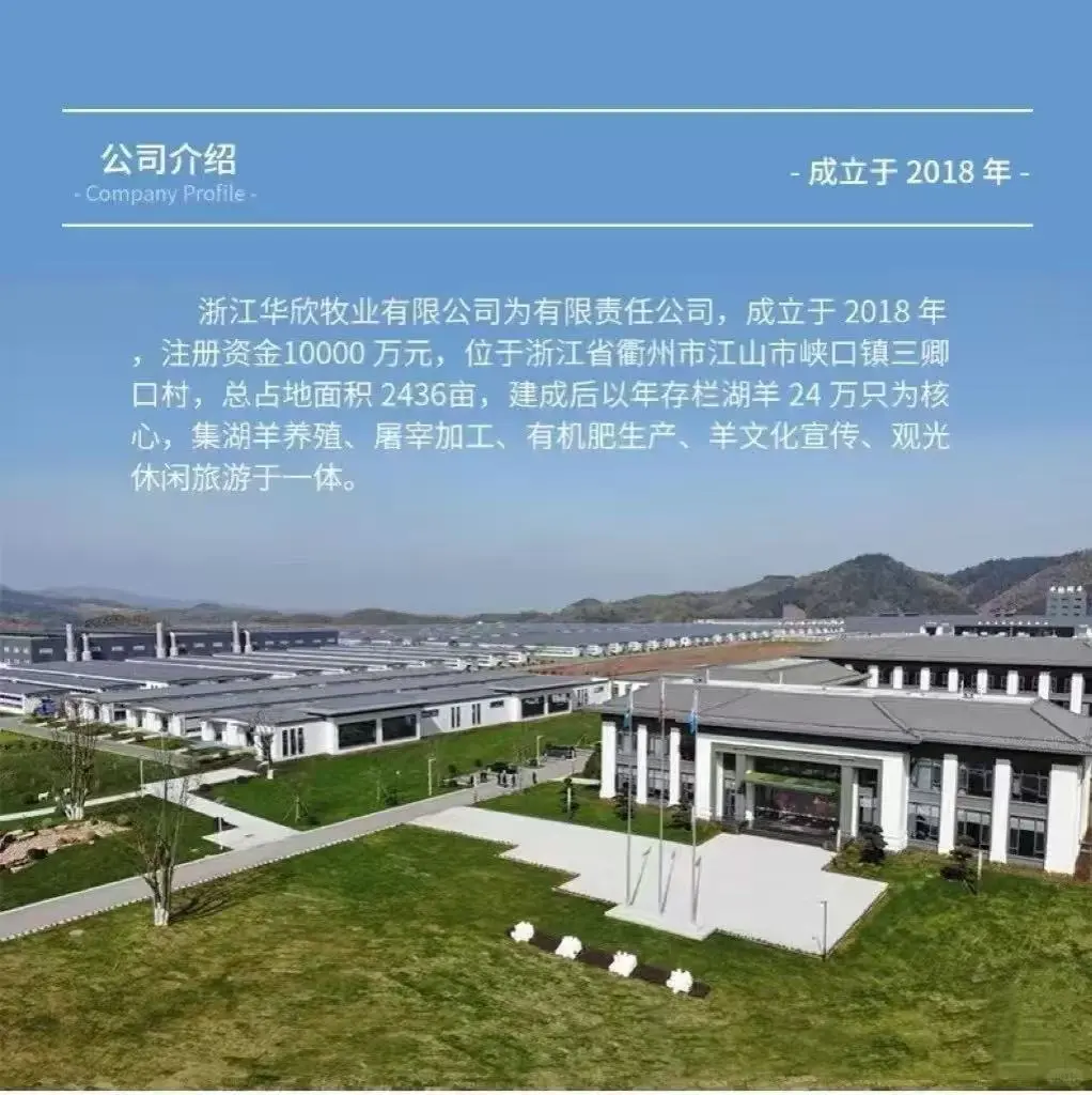全国最大的湖羊养殖基地